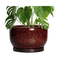 SQOWL Ceramic Flower Pots - 10 Inch Plant Pot Indoor, Ceramic Planter with Drainage Hole and Saucer, Round Decorative