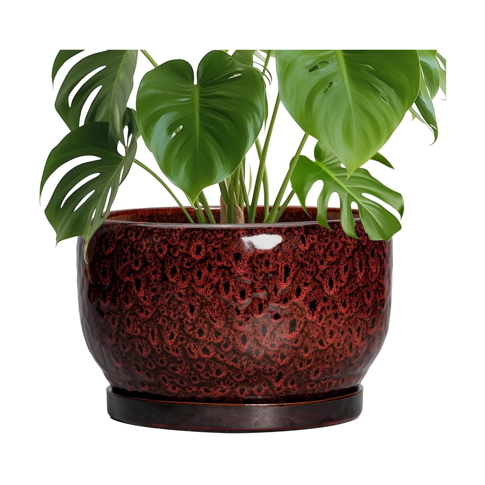 SQOWL Ceramic Flower Pots - 10 Inch Plant Pot Indoor, Ceramic Planter with Drainage Hole and Saucer, Round Decorative