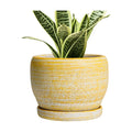 SQOWL Ceramic Planter - 6 Inch Plant Pot Indoor with Drainage Hole and Saucer, Decorative Ceramic Flower Pot Outdoor