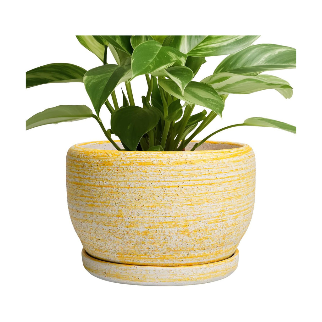 SQOWL Ceramic Flower Pots - 8 inch Plant Pot Indoor with Drainage Hole and Saucer, Modern Ceramic Planter Outdoor