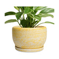 SQOWL Ceramic Flower Pots - 8 inch Plant Pot Indoor with Drainage Hole and Saucer, Modern Ceramic Planter Outdoor