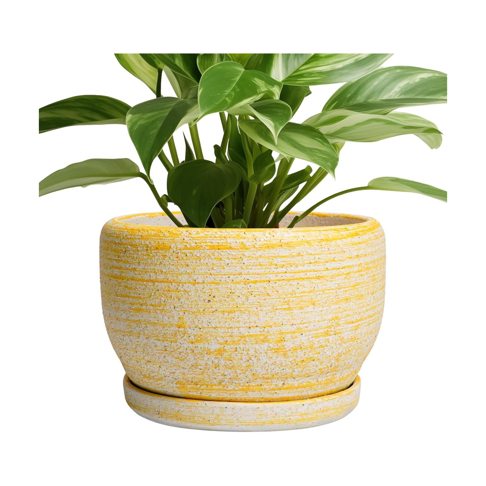 SQOWL Ceramic Flower Pots - 8 inch Plant Pot Indoor with Drainage Hole and Saucer, Modern Ceramic Planter Outdoor