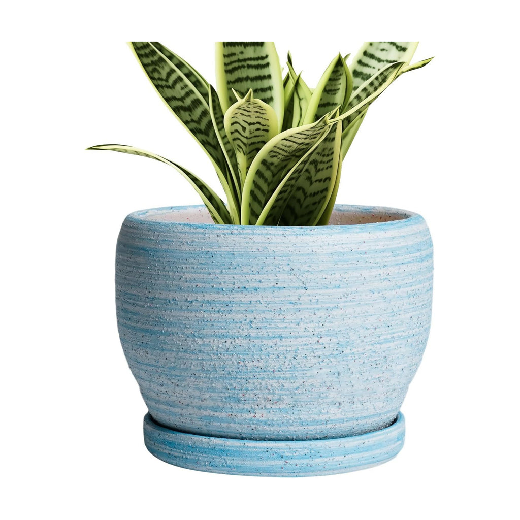 SQOWL Ceramic Planters for Indoor Plants - 6 Inch Plant Pot Indoor Outdoor, Decorative Flower Pot with Drainage Hole