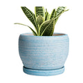 SQOWL Ceramic Planters for Indoor Plants - 6 Inch Plant Pot Indoor Outdoor, Decorative Flower Pot with Drainage Hole