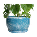 SQOWL Ceramic Planters - 10 Inch Plant Pot Indoor with Drainage Hole and Saucer, Decorative Flower Pot Outdoor, Round