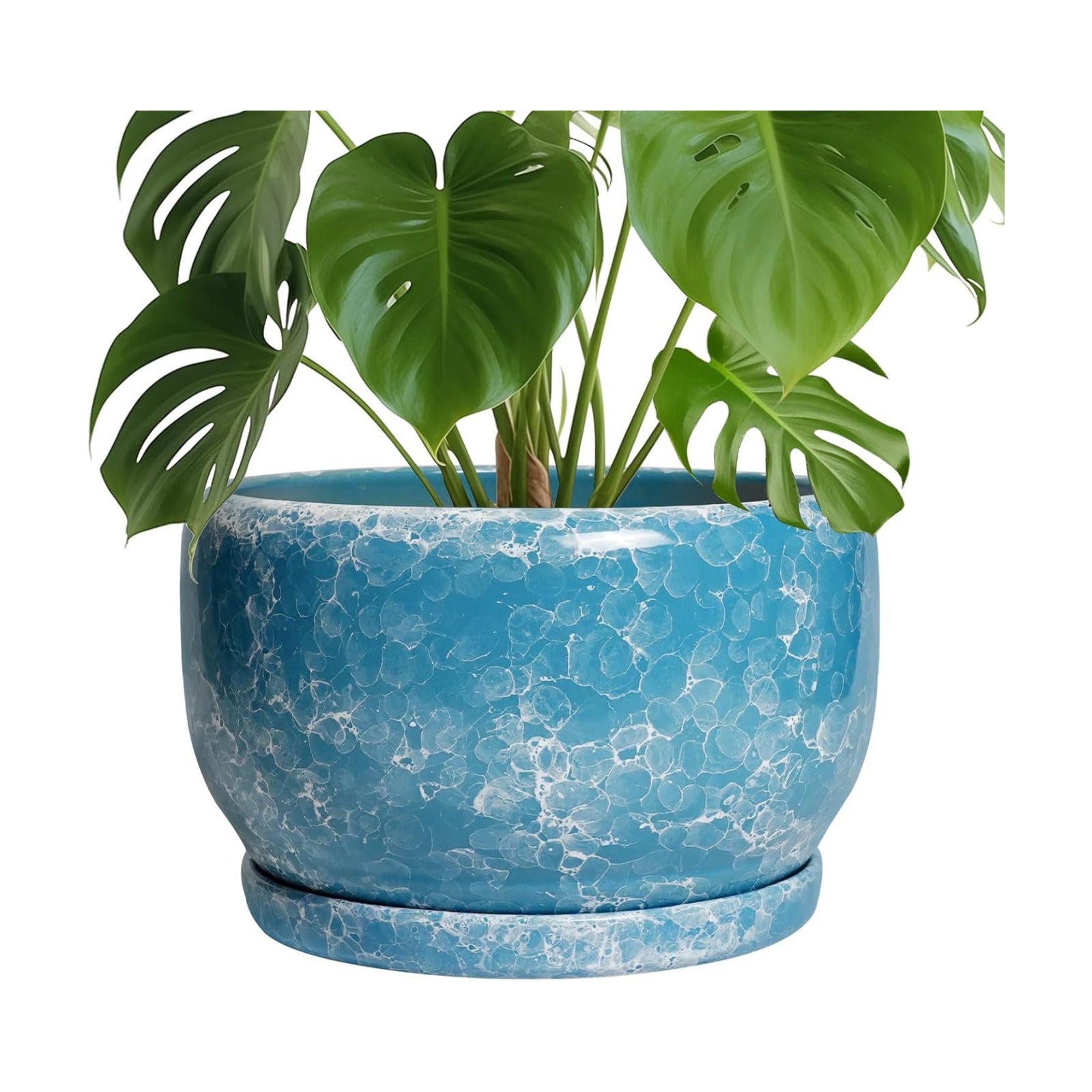 SQOWL Ceramic Planters - 10 Inch Plant Pot Indoor with Drainage Hole and Saucer, Decorative Flower Pot Outdoor, Round