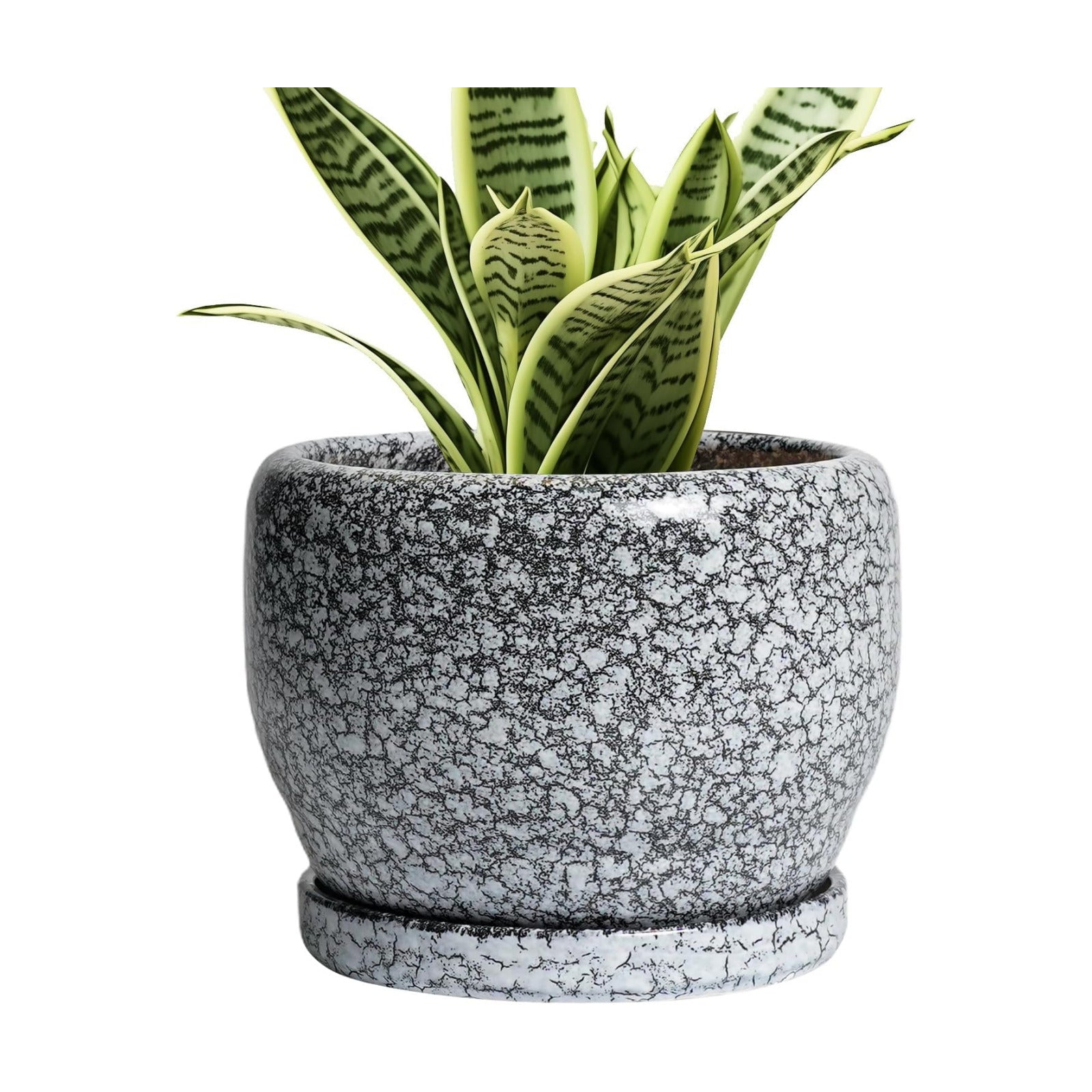 SQOWL Ceramic Pot for Plants - 6 Inch Ceramic Planter for Indoor Outdoor, Decorative Plant Pot with Drainage Hole and