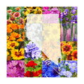 Northern Nevada Wildflower Seed Mix, 1/4 lb Covers 800 sq ft, Multi-Color Perennial and Annual Non-GMO Blooms to