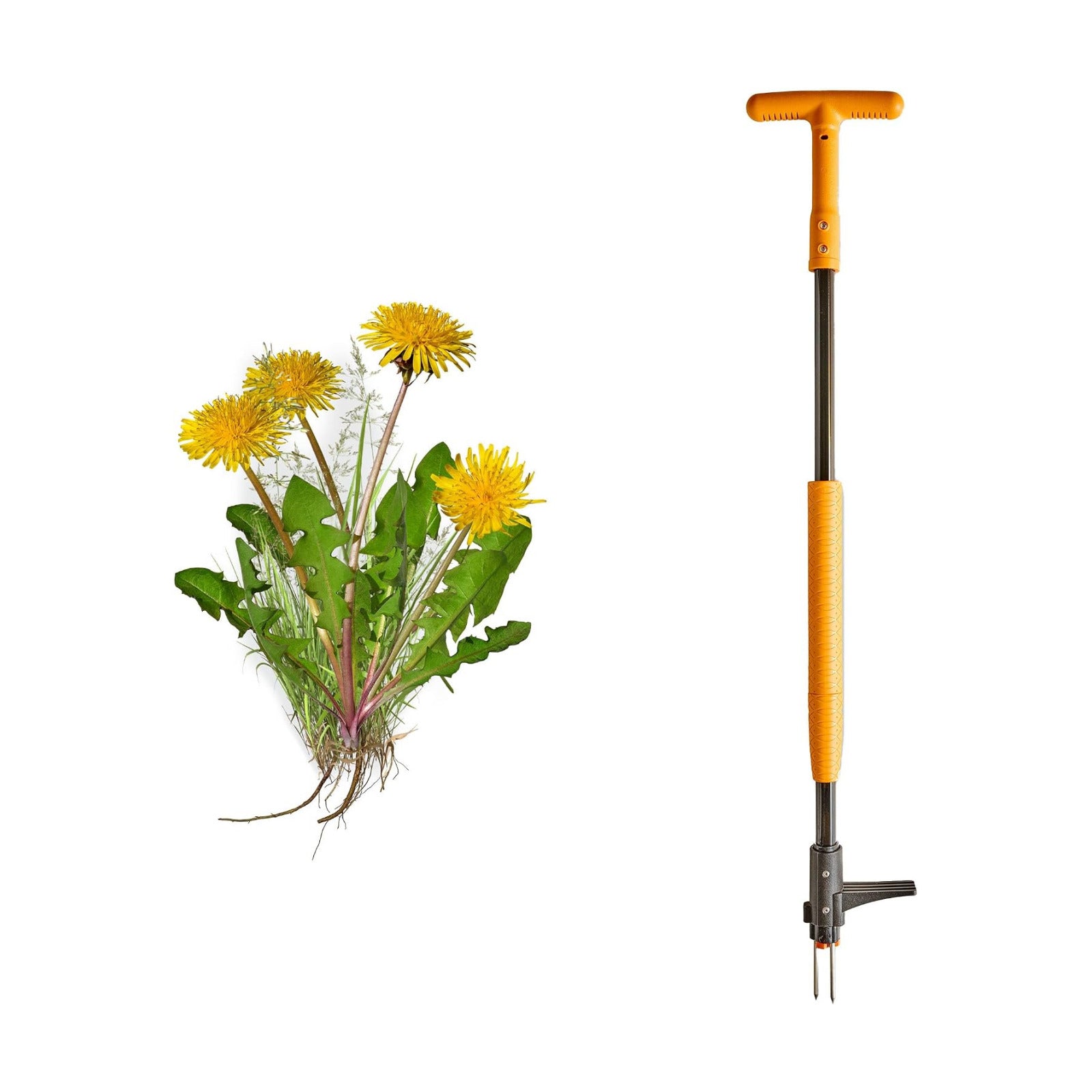 Stand Up Weed Puller Tool with Long Handle - 39” Ergonomic Weeder Puller - Heavy Duty Weed Remover for Weeding Without