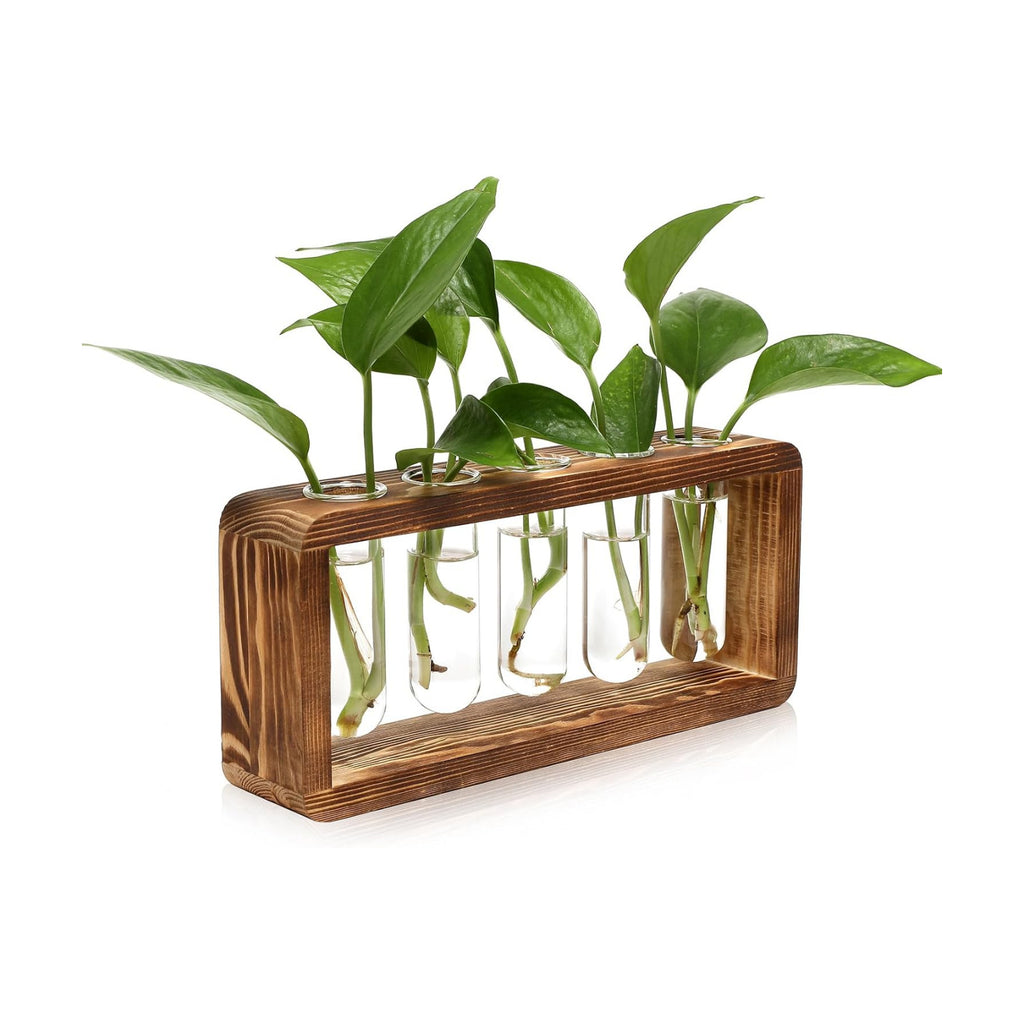 Glass Plant Propagation Station with 5 Test Tubes Planter Vase with Wooden | Stand Birthday Gifts for Women Mom Plant