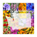 Eastern Washington Wildflower Seed Mix, 1/4 lb Covers 800 sq ft, Multi-Color Perennial and Annual Non-GMO Blooms to