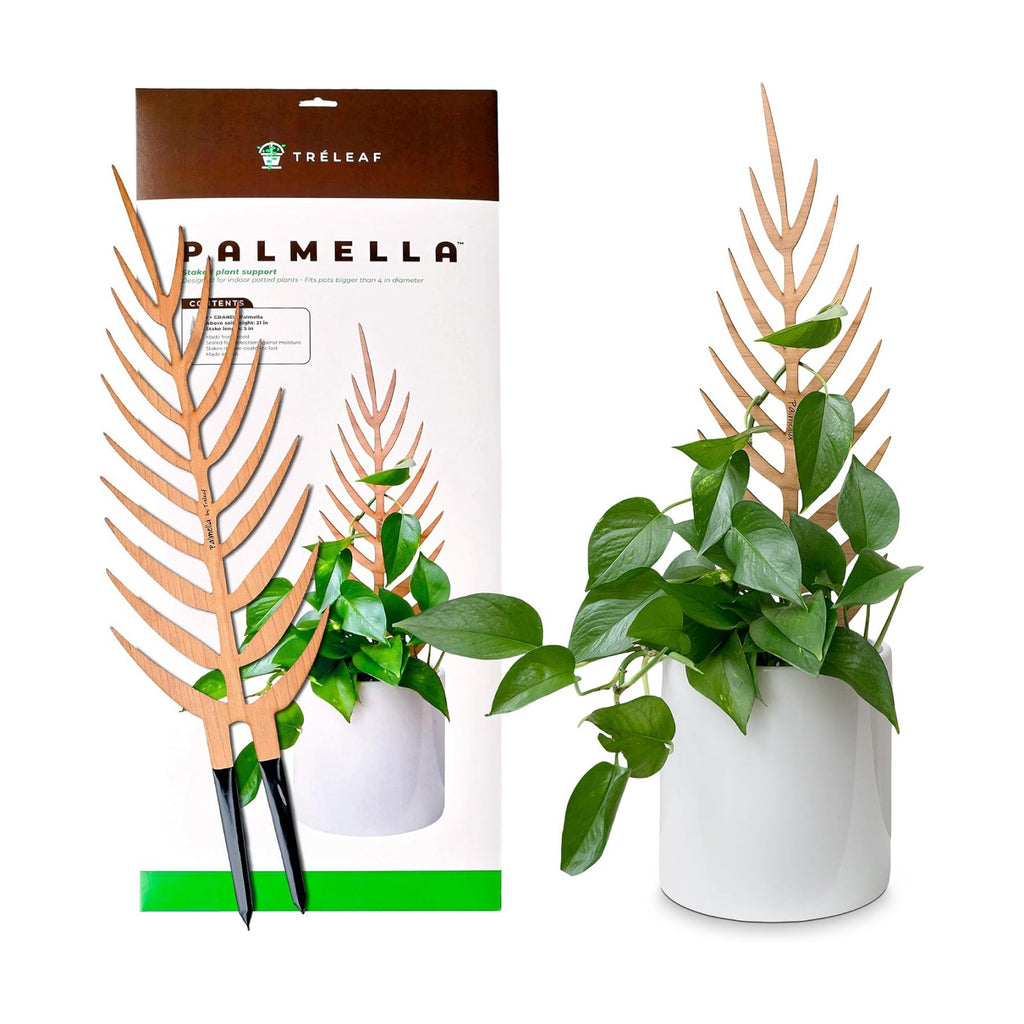 Palmella Palm Leaf Inspired Wooden Trellis – Grande Size Indoor Plant Support for Climbing Plants – 24” Decorative