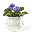 Fayoula 6 Inch African Violet Pots Maintenance, Glass Self-Watering Planter for Indoor Plants - Ideal Flower Pot for