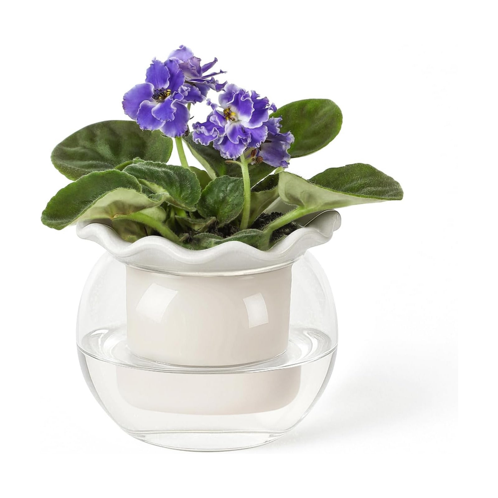 Fayoula 6 Inch African Violet Pots Maintenance, Glass Self-Watering Planter for Indoor Plants - Ideal Flower Pot for