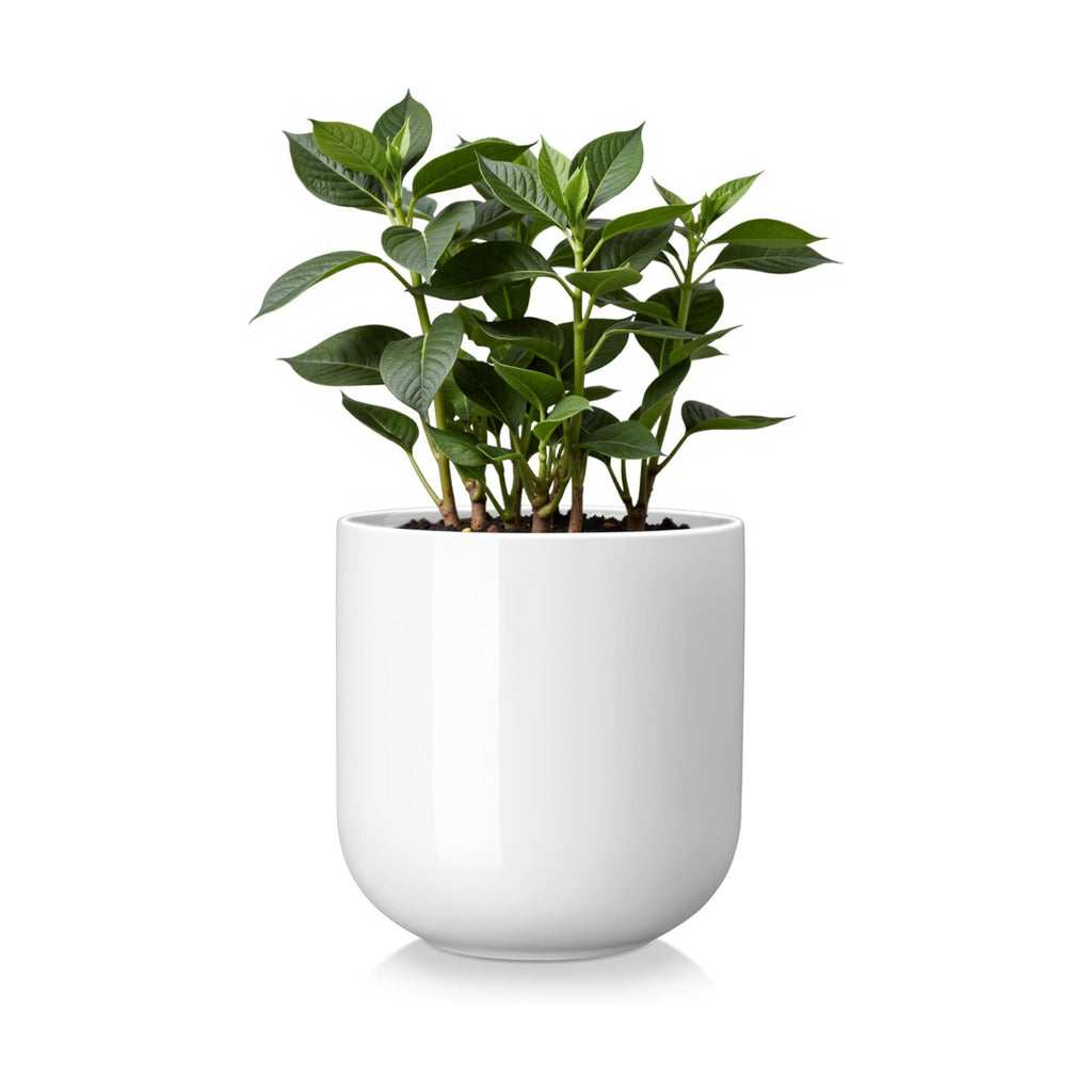 vancasso 6 Inch Ceramic Plant Pots, Planters with Drainage Hole, Flower Pots Planters Pots for Indoor Plants, Modern