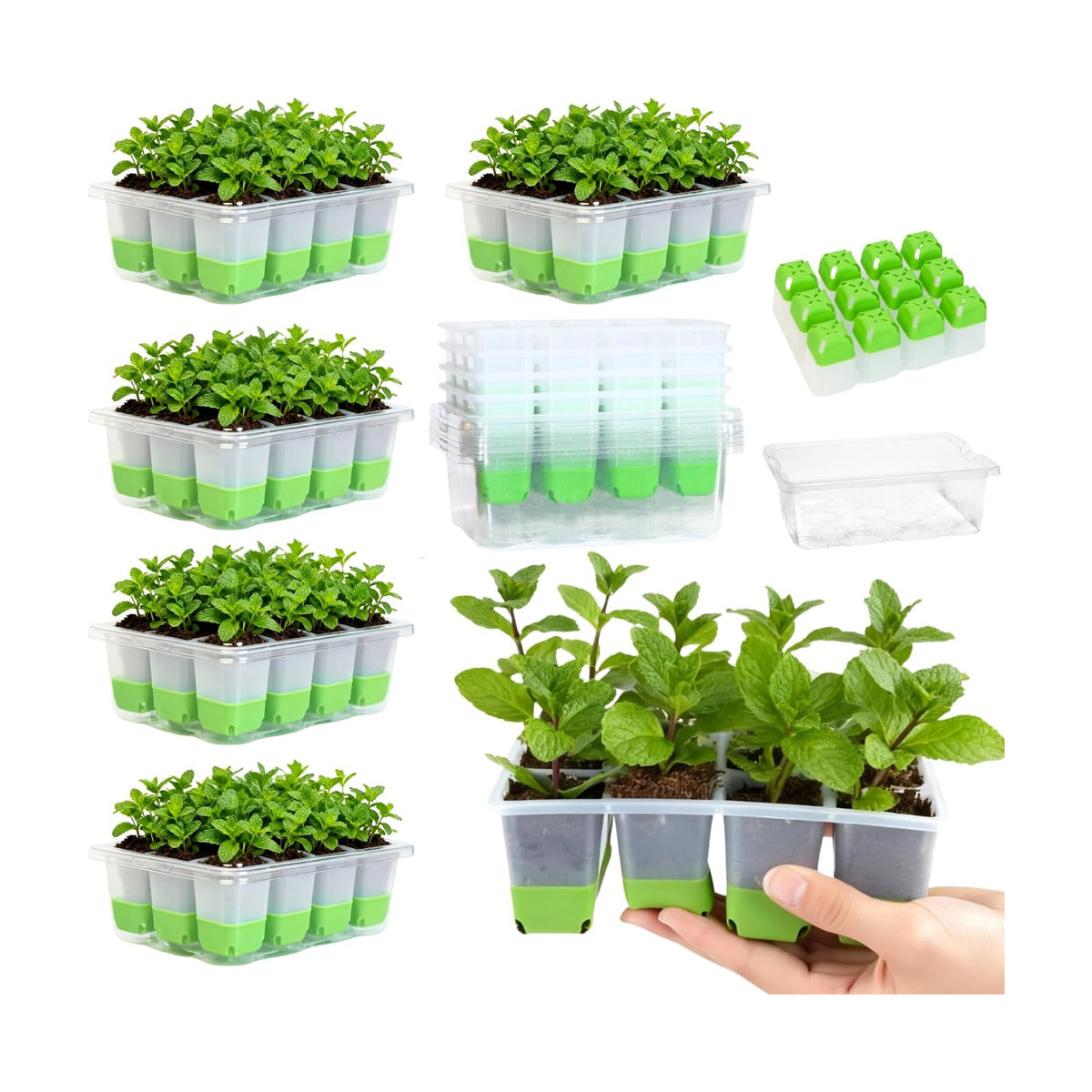 5 Pack 60-Cell Flexible Silicone Seed Starter Trays for Easy Transplant