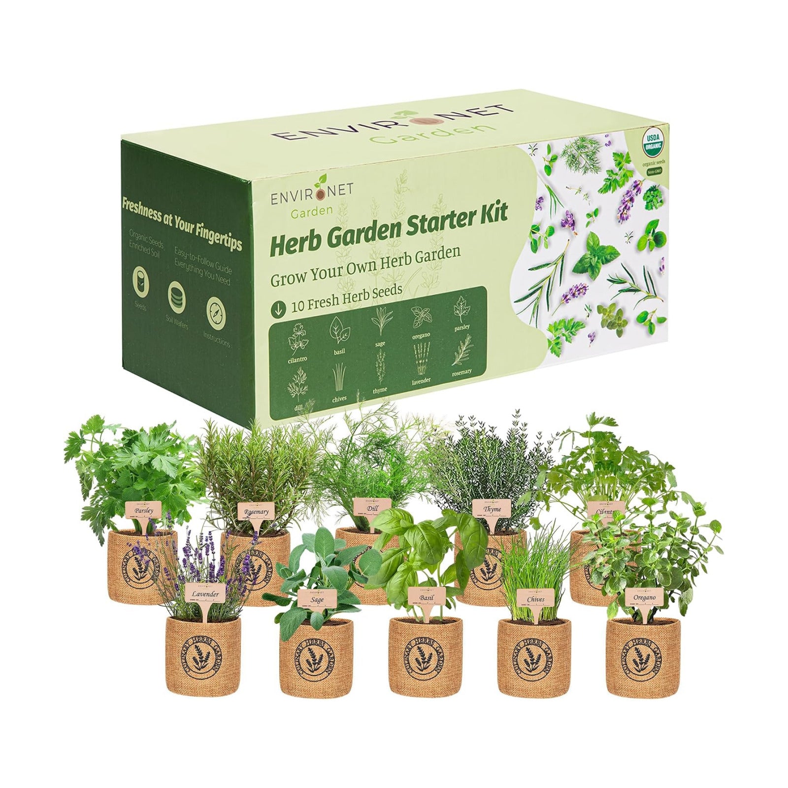 10 Indoor Herb Garden Kit- Burlap Pots, Organic Seeds, Herb Garden Planter Indoor Kit, Easy Window & Kitchen Herbs
