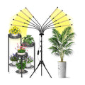 Grow Lights for Indoor Plants [ 10 in1 ] 500 LEDs, Full Spectrum Grow Light for Indoor Growing with Tripod Stand, Auto