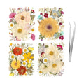 140pcs Dried Pressed Flowers Bulk, Natural Fall Pressed Dried Flowers with Tweezer for DIY Crafts Resin Mold Candles Cake Bridal Scrapbooking Supplies
