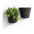 Asnext 2 Pack Indoor Wall Planter, 7.5 Inch Wall Hanging Planter, Black | Plastic Wall Planter Set, Wall Planter Pot