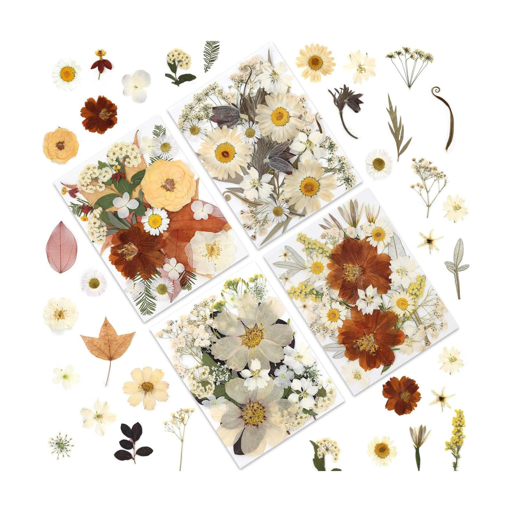 LUXEEASE 100P Vintage Cream Brown Dried Pressed Flowers
