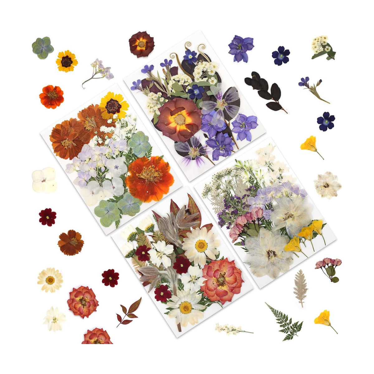 LUXEEASE 80P Vintage Pastel Dried Pressed Flowers
