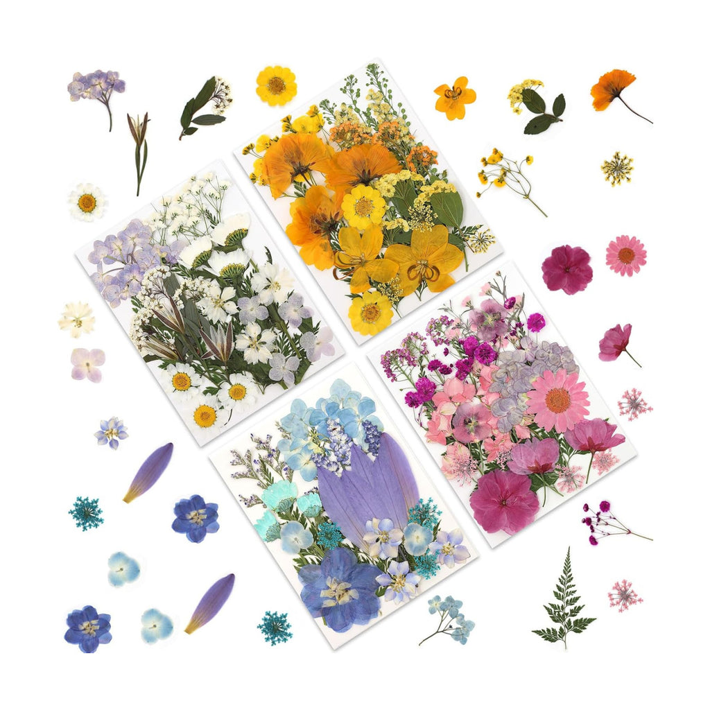 LUXEEASE 4 Color 110P Long Stem Dried Pressed Flowers