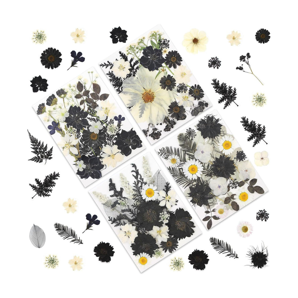 LUXEEASE 90P Halloween Black & White Dried Pressed Flowers