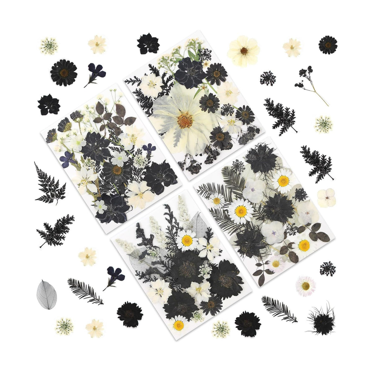 LUXEEASE 90P Halloween Black & White Dried Pressed Flowers