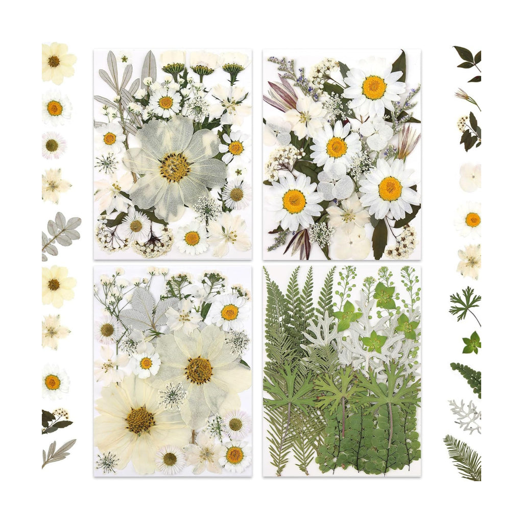 LUXEEASE 100P White Foliage Mix Dried Pressed Flowers