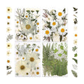 LUXEEASE 100P White Foliage Mix Dried Pressed Flowers