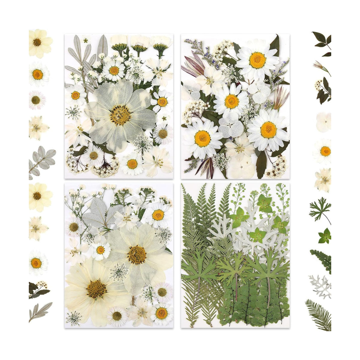LUXEEASE 100P White Foliage Mix Dried Pressed Flowers