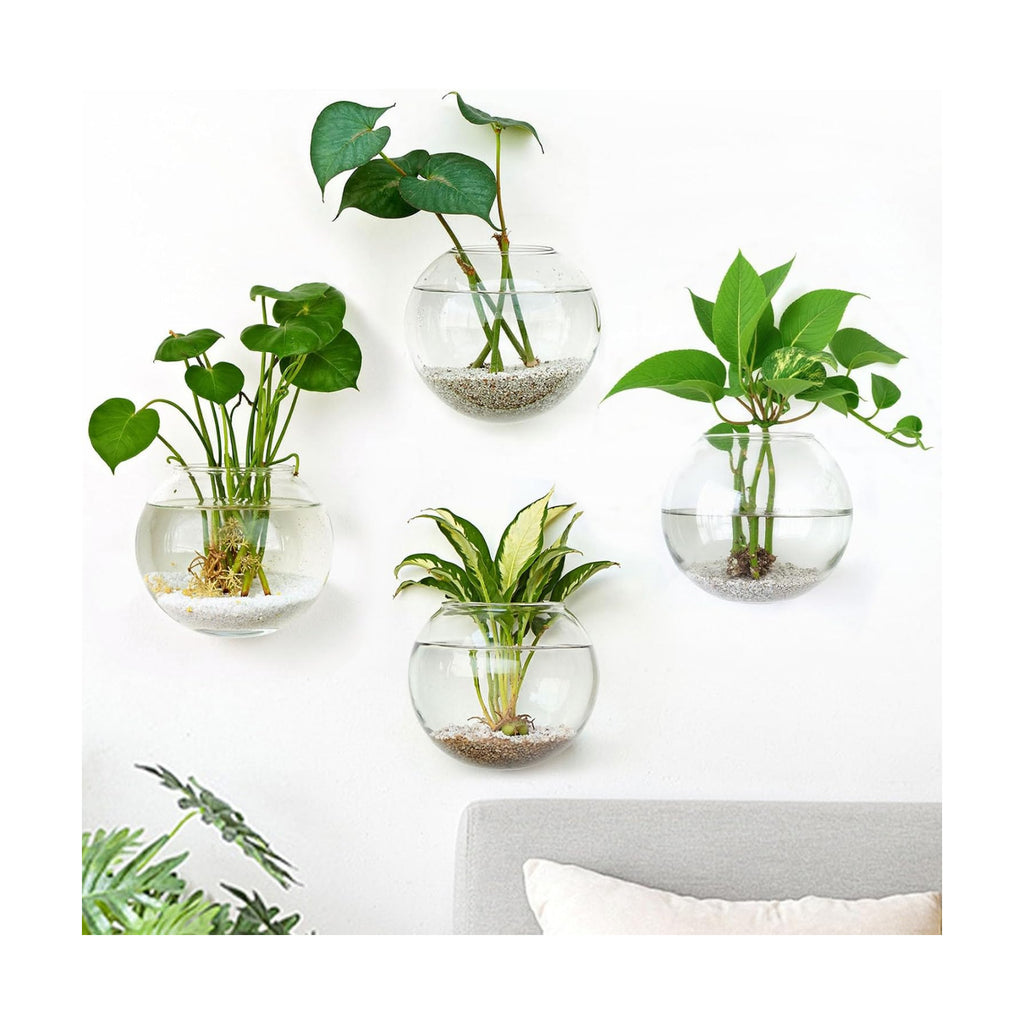 DomeStar Set of 4 Wall Vases, Wall Mounted Propagation Station