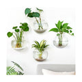 DomeStar Set of 4 Wall Vases, Wall Mounted Propagation Station