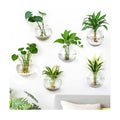 DomeStar Set of 6 Wall Vases, Wall Mounted Propagation Station | Hanging Glass Vases, Terrarium Station for