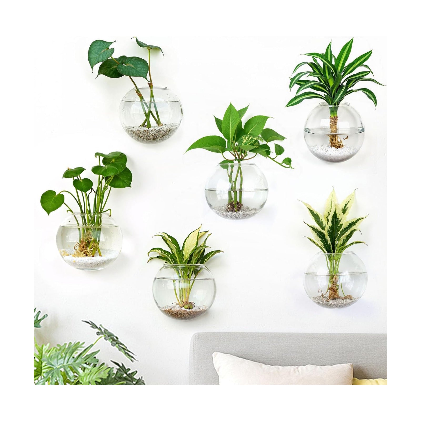 DomeStar Set of 6 Wall Vases, Wall Mounted Propagation Station | Hanging Glass Vases, Terrarium Station for