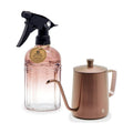 OFFIDIX Watering Can for Indoor Plants Long Spout Metal Stainless Steel 21 oz Small Watering Can with 14 oz Glass Plant Mister Spray Bottle for Plants Bonsai