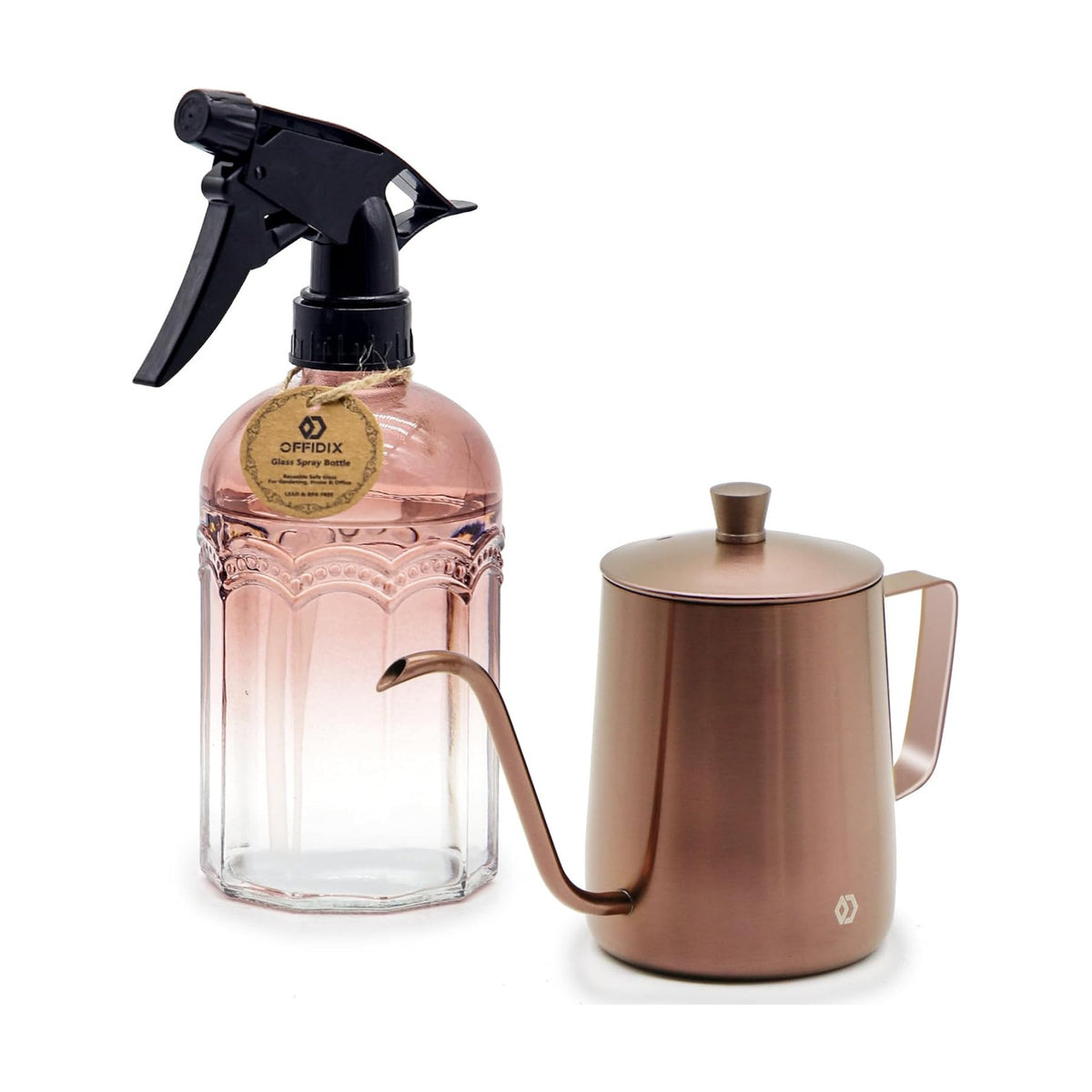OFFIDIX Watering Can for Indoor Plants Long Spout Metal Stainless Steel 21 oz Small Watering Can with 14 oz Glass Plant Mister Spray Bottle for Plants Bonsai