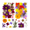 46Pcs Pressed Dried Flowers Real Natural Leave for DIY Resin Molds Candle Jewelry Nail Crafts