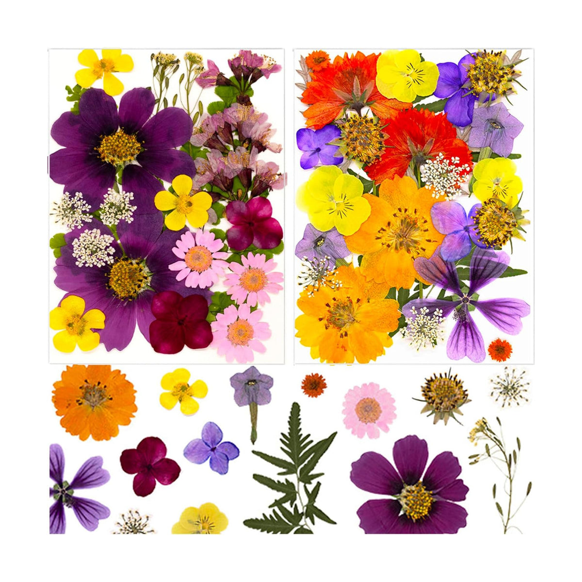 46Pcs Pressed Dried Flowers Real Natural Leave for DIY Resin Molds Candle Jewelry Nail Crafts