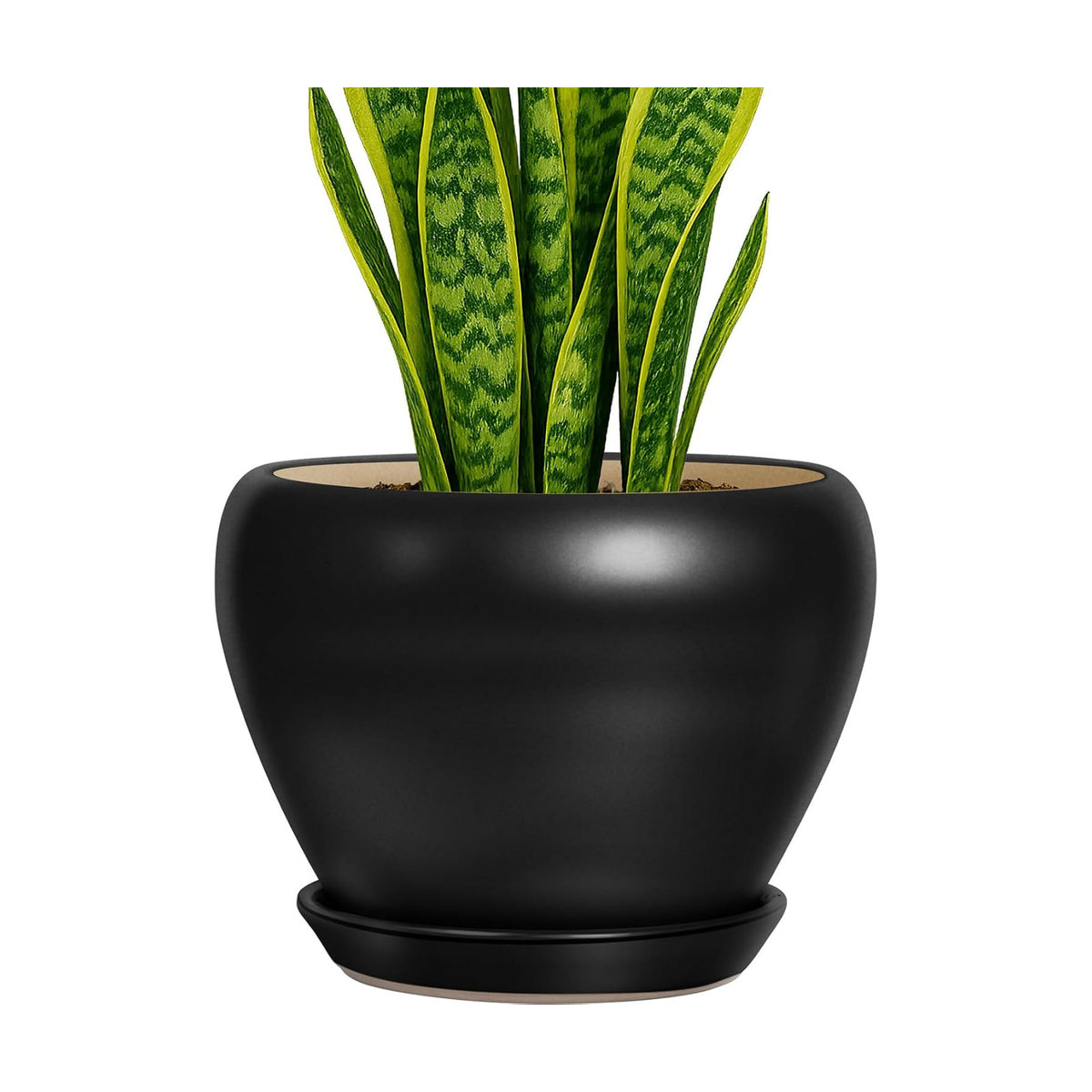 Deep Dream 8 Inch Plant Pot - Ceramic Pots for Plants with Drainage Hole and Trays, Modern Round Flower Pot, Planters for Indoor Outdoor Plants, Home Garden Decor, Black