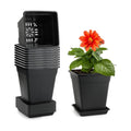 6 inch Plant Pots, 10 Pack Flower Pots Outdoor Indoor, Square Plastic Planter with Drainage Holes and Saucers, 0.5