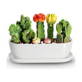 E-liu14 Inch Oval Ceramic Planter Pot with Drainage Hole Saucers