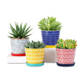 Selamica Ceramic Succulent Pots, 4.3 Inch Small Plant Pots with Drainage Holes and Saucers, Small Flower Pots for