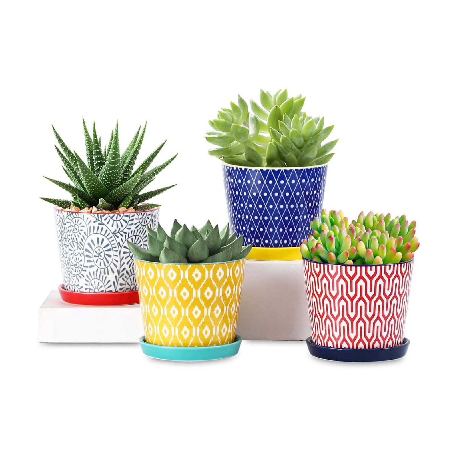 Selamica Ceramic Succulent Pots, 4.3 Inch Small Plant Pots with Drainage Holes and Saucers, Small Flower Pots for