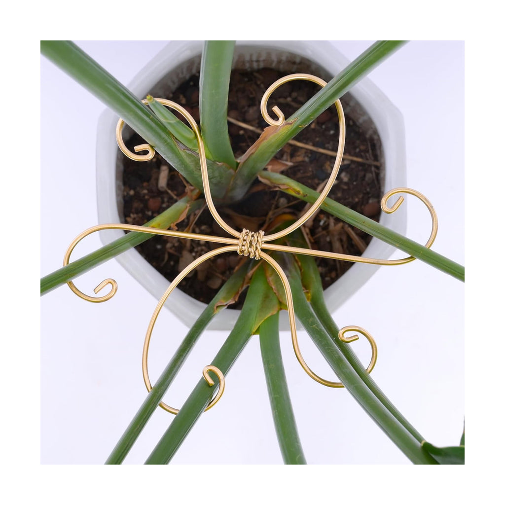 7.5In Monstera Plant Stem Support Hook Set-5PCS Metal stem Holder | Premium Stem Support for Monstera &
