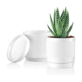 Vanavazon 6 Inch Glazed Ceramic Plant Pots with Drainage Hole and Saucer, Cylinder Indoor Planters for All House