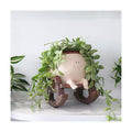 Camotank Smiley Face Rocking Chair Planters Flower Pots for Plants Funny Succulents Plant Live Cute Resin Head Planter