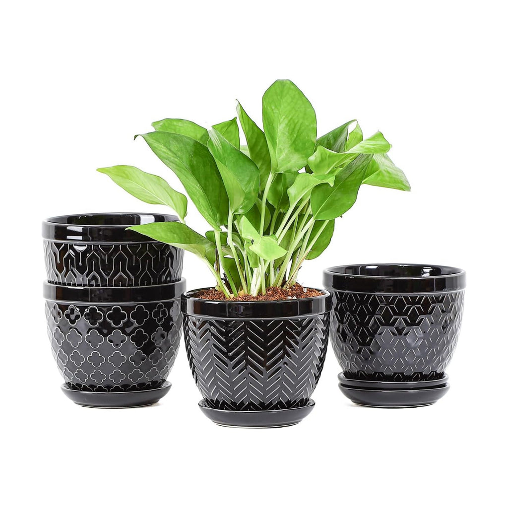 Sureasy Ceramic Indoor Plant Pots - 5.6 Inch Flower Pots for Plants with Drainage Hole and Saucer, Embossed Planter for