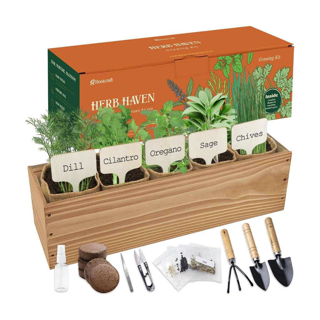 5 Herb Garden Planter Indoor with Wooden Box, Home Kitchen Seed Starter Kit Including Dill, Cilantro, Oregano, Sage